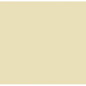 Tecido Tricoline Silky Lisa cor - 7292 (Bege Claro)